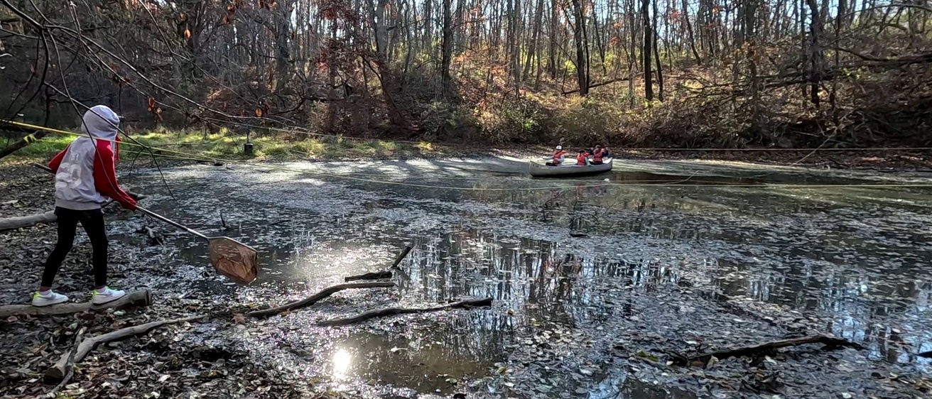 Wetlands